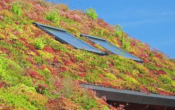 Somerley living roof systems